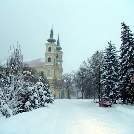 Karpatia Sastin-Straze